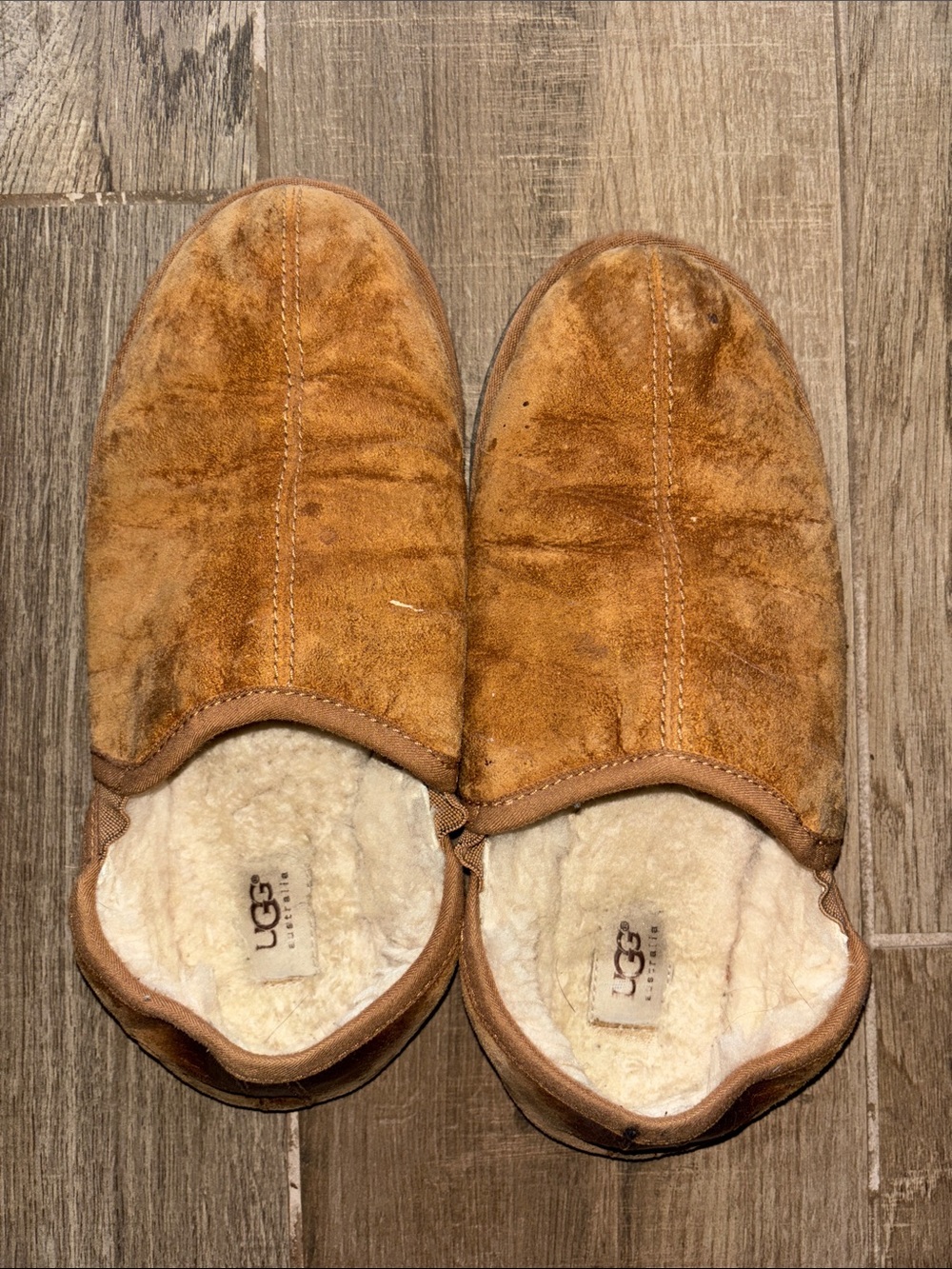 UGG Men's Slip-Ons in Chestnut Suede
